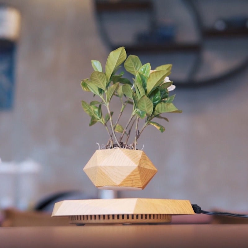 Magnetic Levitating Bonsai Pot